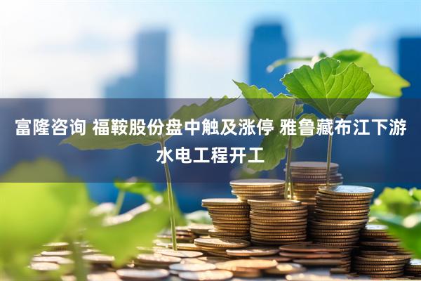 富隆咨询 福鞍股份盘中触及涨停 雅鲁藏布江下游水电工程开工