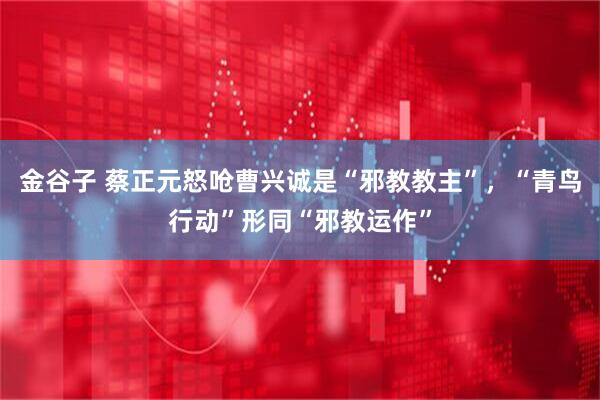 金谷子 蔡正元怒呛曹兴诚是“邪教教主”，“青鸟行动”形同“邪教运作”