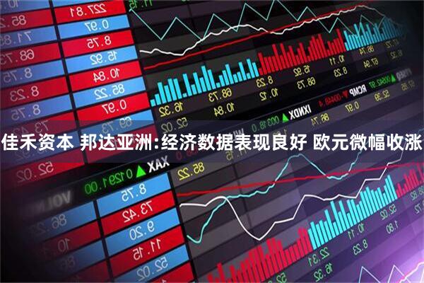 佳禾资本 邦达亚洲:经济数据表现良好 欧元微幅收涨