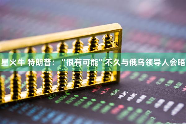 星火牛 特朗普：“很有可能”不久与俄乌领导人会晤