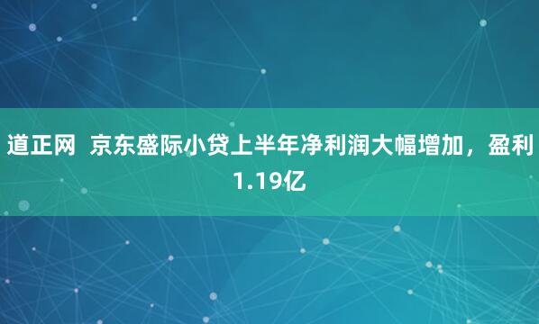 道正网  京东盛际小贷上半年净利润大幅增加，盈利1.19亿