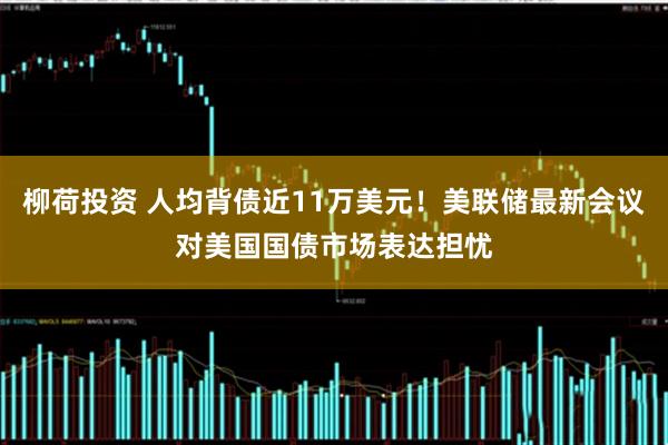 柳荷投资 人均背债近11万美元!美联储最新会议对美国国债市场表达担忧