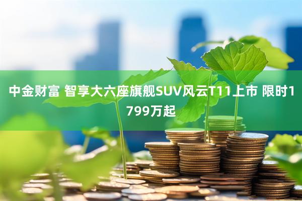 中金财富 智享大六座旗舰SUV风云T11上市 限时1799万起